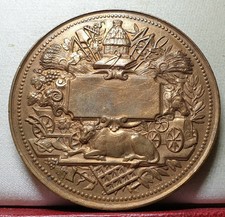 Medaglia francese 55mm premio