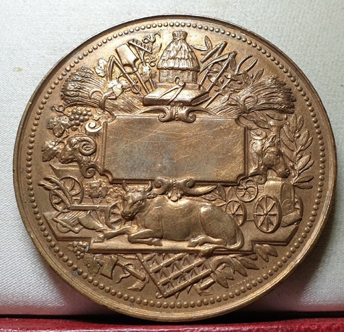 Medaglia francese 55mm premio