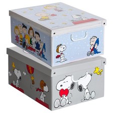 Set 2 Pezzi Scatole Armadio in