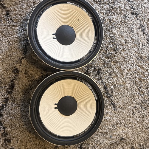 Altoparlante woofer vintage