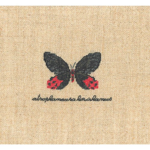Bonheur des dames - dames, petit