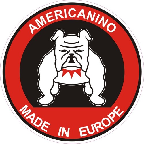Adesivo americanino circolare - adesivo,