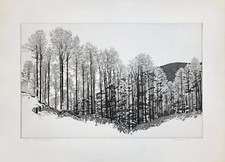 Federica Galli, BOSCO DEL