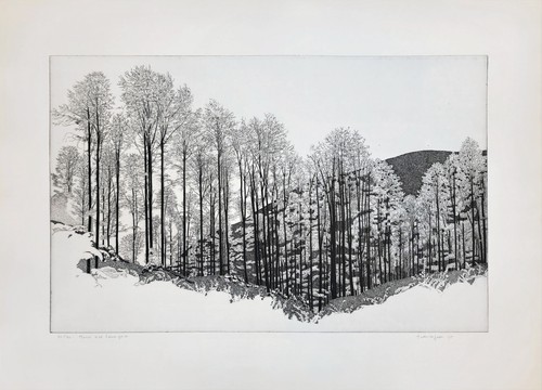 Federica galli bosco del - bosco,