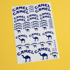 RC 10th 1/10 scale CAMEL 4x4