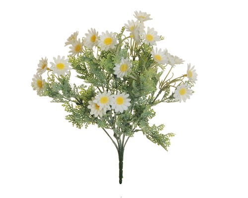 Bush rami margheritine - rami,
