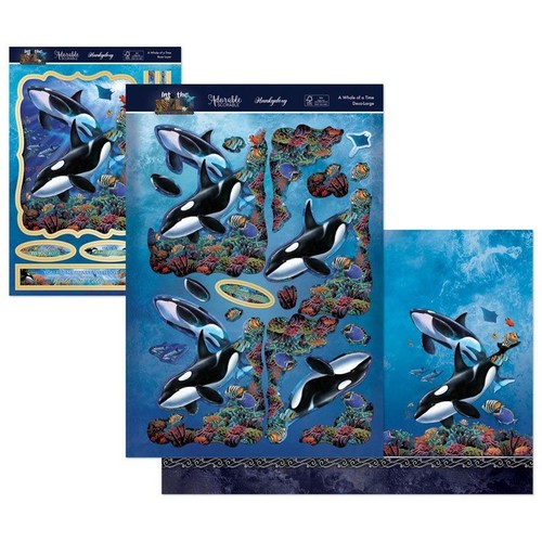 Hunkydory whale a time - a,