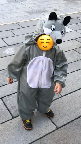Costume intero lupo grigio - costume,