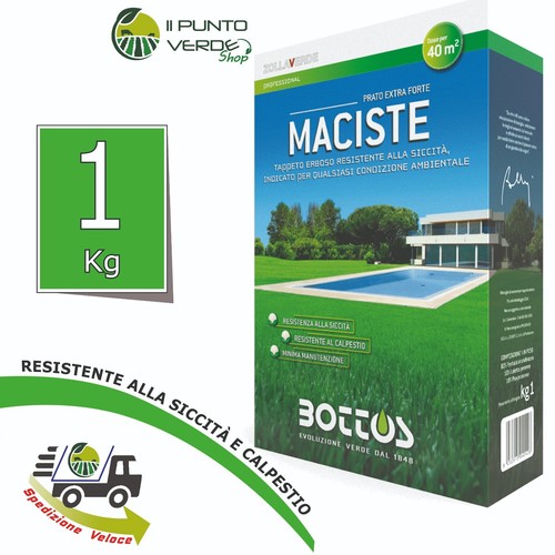Bottos maciste 10 - maciste, 1