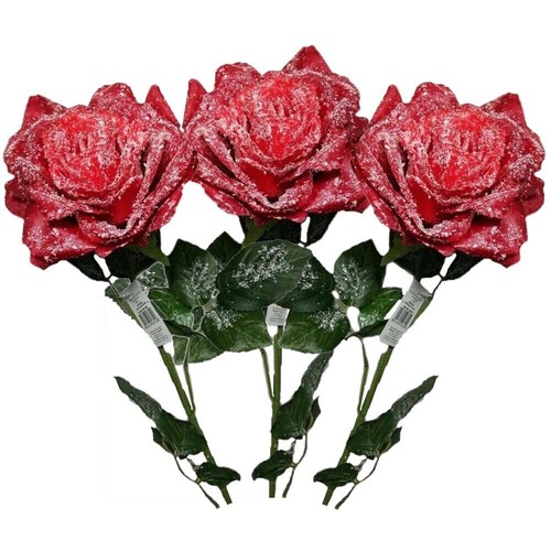 Fiore rosa con stelo - , foglie