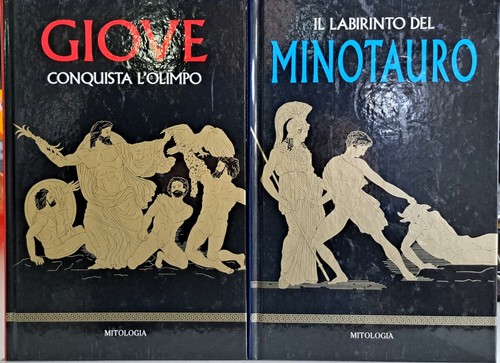 Libro labirinto del - il,