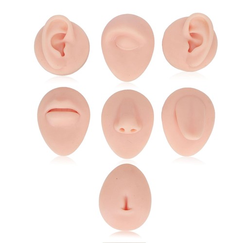 Set espositori parti - , corpo
