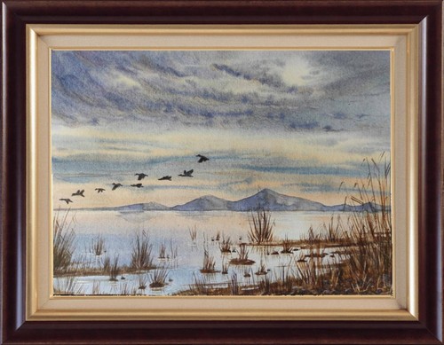 Ducks flying sky originale - ducks,