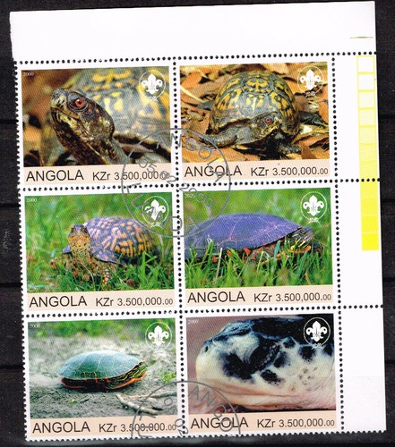 Angola fauna african turtles - fauna,