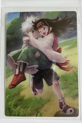 Hunter itaja ga card - hunter,