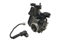 Corps papillon injection