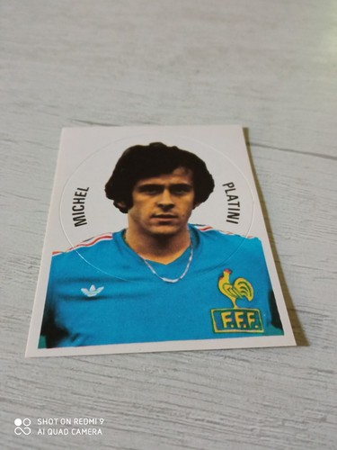 Figurine panini france - figurine,