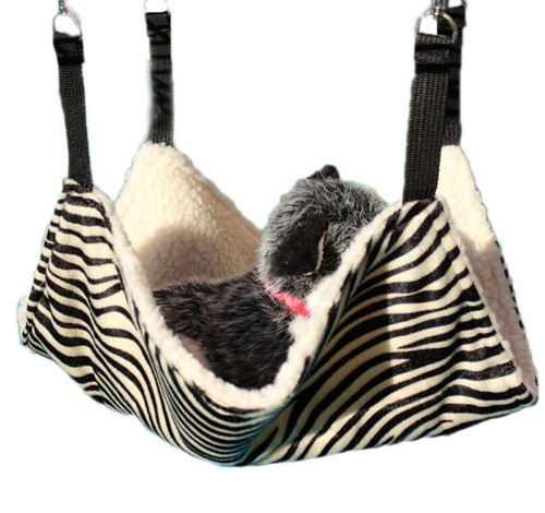 Animale domestico gattino - animale,