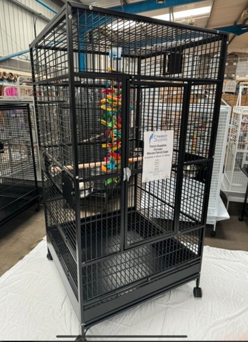 Parrot supplies chicago - parrot-supplies,
