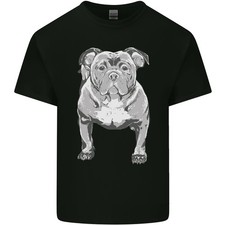 American Bully In Posizione