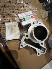 1A015138 piston cylinder