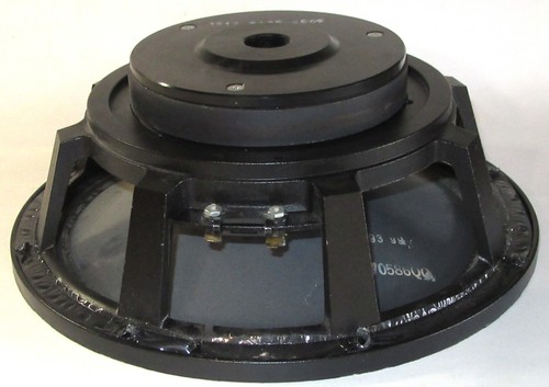 Altoparlante vocale elettrico