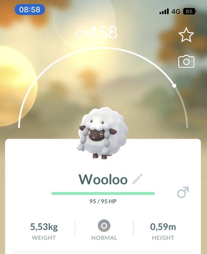 Wooloo pokemon gen8 - wooloo, go