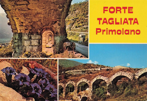 99b cartolina forte - 41-99b),