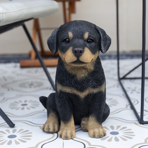 Soreal black rottweiler - soreal,
