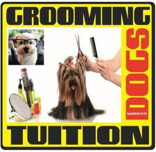 DVD addestramento toelettatura