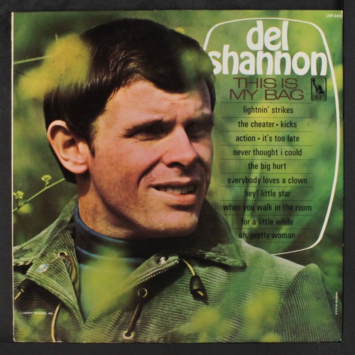 Del shannon this my bag - shannon:,