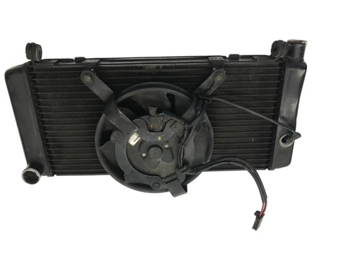 Radiatore acqua honda - 900, f
