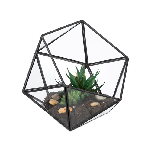 Terrario per piante casa - ,
