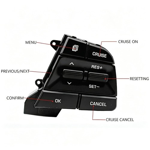 Interruttore cruise control