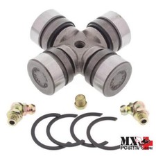 CROCIERA LATO ANTERIORE ALBERO