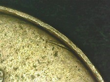 20 LIRE 1985 ERRORE - LINEA DA