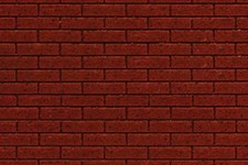 Chooch Enterprises 8669 Tutti