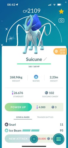 Shiny suicune anno - shiny, 2019✨