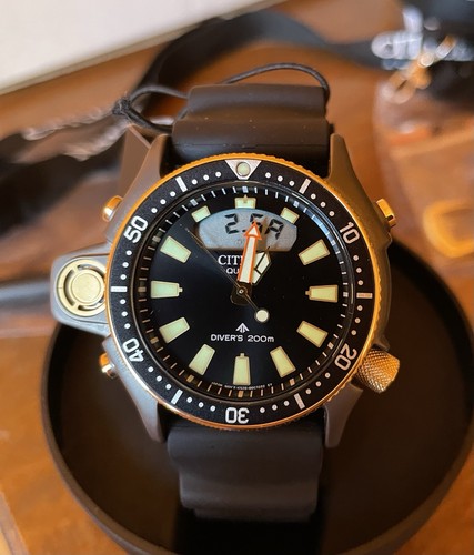 Citizen promaster jp2008 - citizen,