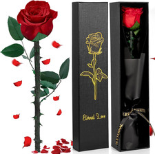 Rosa Stabilizzata Vera Rosa Eterna San Valentino per Lei, Regali San Valentino p