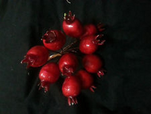 Melograni artificiali - melograni,