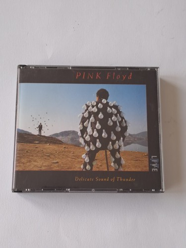 Pink floyd delicate sound - delicate,