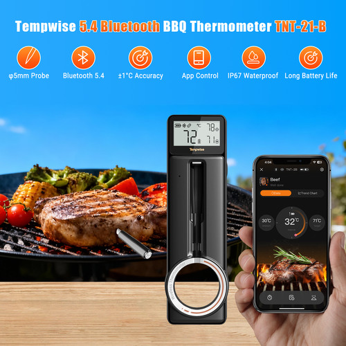 Termometro barbecue wireless - termometro,