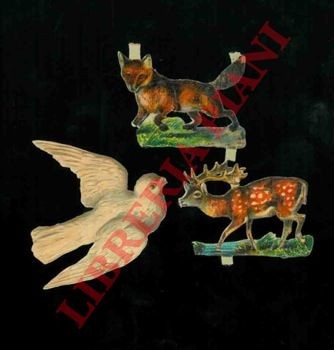 Animali vari - animali,