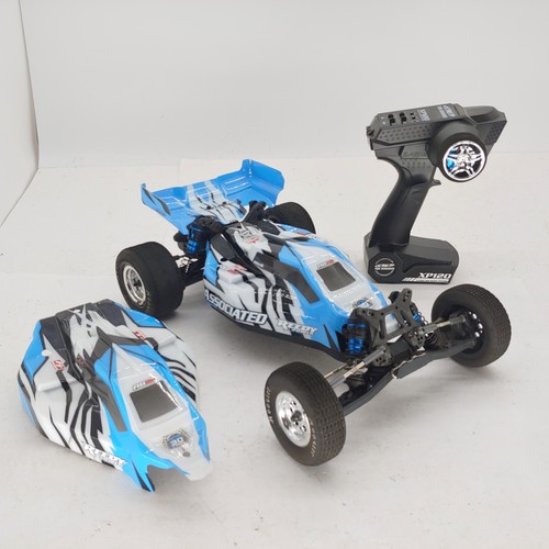 Team associated rb10 2wd - team,