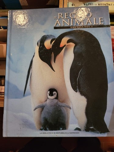 Regno animale uccelli - il,