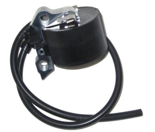 Bobina accensione elettronica
