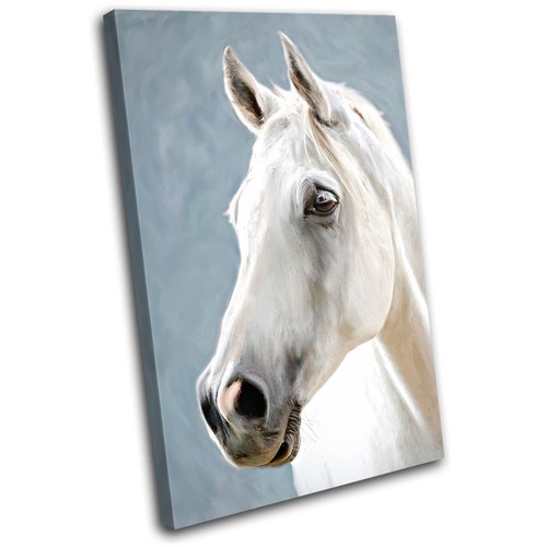 Horse white animals - white, single