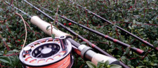 Canna pesca mosca - pesca,