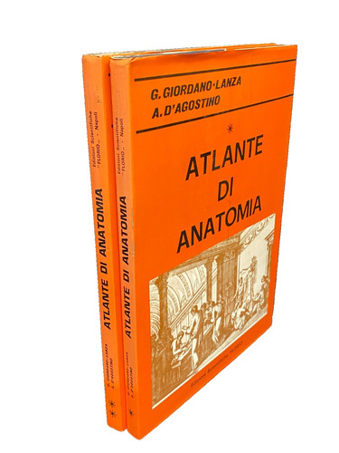 Atlante anatomia edizioni - anatomia,